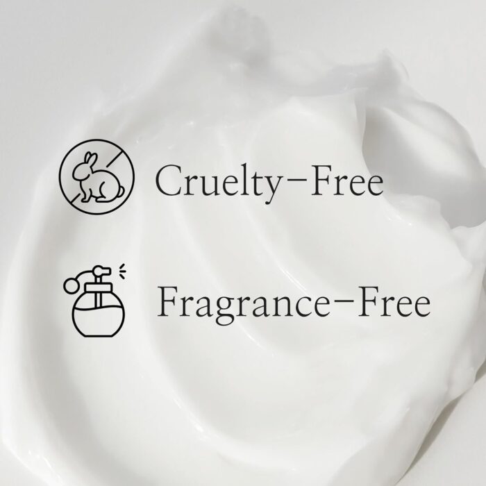 Beauty of Joseon Dynasty Cream Korean Face Moisturizer Rice Ginseng for Dry Acne Sensitive Skin Daily Hydration Korean Skincare for Men and Women 50ml - Image 5