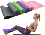 PROIRON 2 in 1 Resistance Bands Set - Includes Resistance Loop Bands, Physical Therapy Bands for Home Fitness, Stretching, Strength Training, Physical Therapy,Elastic Workout Bands for Whole Body