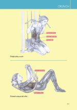 Delavier's Women's Strength Training Anatomy Workouts - Image 6