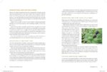 North Atlantic Books The Modern Herbal Dispensary: A Medicine-Making Guide - Image 3