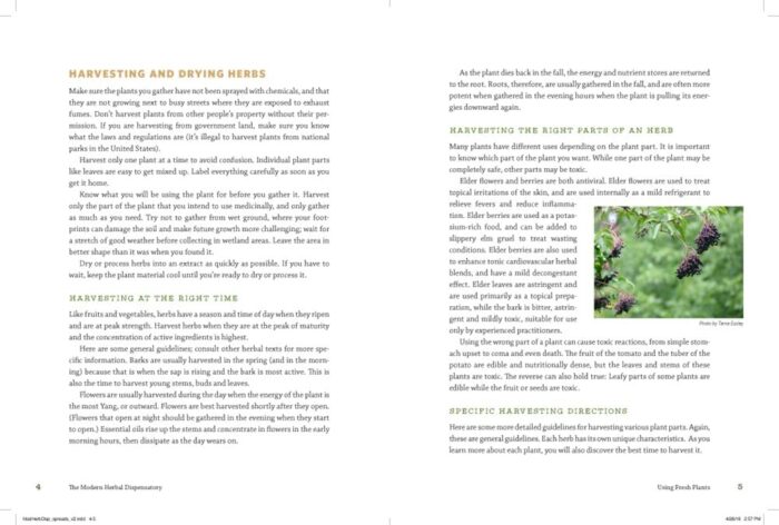 North Atlantic Books The Modern Herbal Dispensary: A Medicine-Making Guide - Image 3