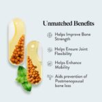 Wellbeing Nutrition Slow Bone Support Capsule for Men and Women | Bone and Joint Vitamin Supplements | Glucosamine, Chondroitin, MSM, Calcium | For joint mobility and bone strength (60 Capsules) - Image 2