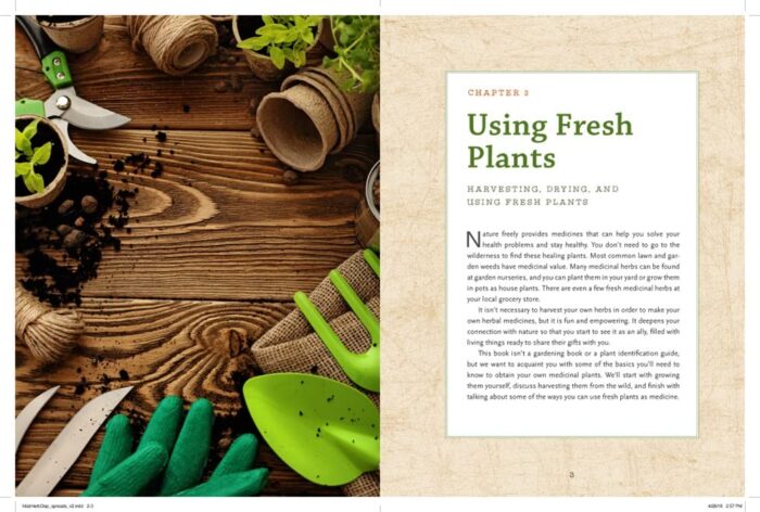 North Atlantic Books The Modern Herbal Dispensary: A Medicine-Making Guide - Image 2