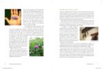 North Atlantic Books The Modern Herbal Dispensary: A Medicine-Making Guide - Image 4