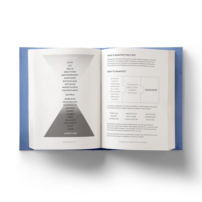 The Greatest Manifestation Book (is the one written by you) - Image 4