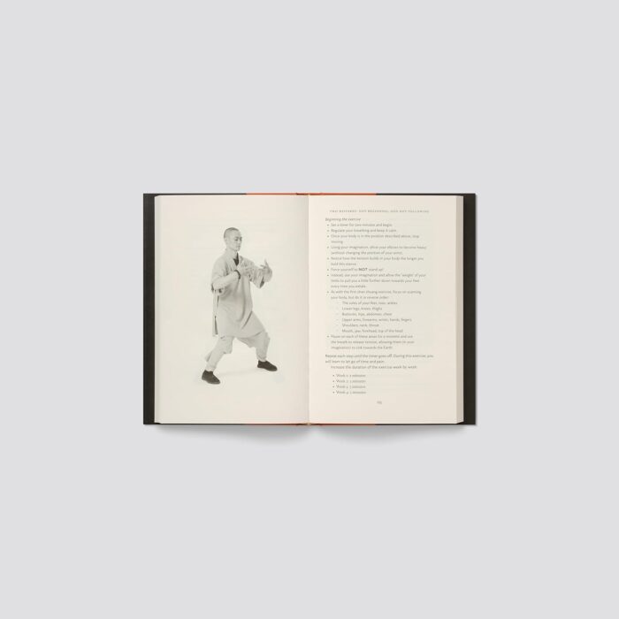 Shaolin Spirit: The Way to Self-Mastery - Image 4