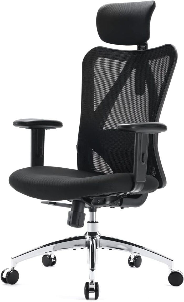SIHOO M18 Ergonomic Desk Chair, Swivel Chair With Adjustable Lumbar Support, Headrest And Armrest, Height Adjustment and Rocker Function, Back-Friendly Office Chair, Load Capacity: up to 150 kg