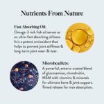 Wellbeing Nutrition Slow Bone Support Capsule for Men and Women | Bone and Joint Vitamin Supplements | Glucosamine, Chondroitin, MSM, Calcium | For joint mobility and bone strength (60 Capsules) - Image 5