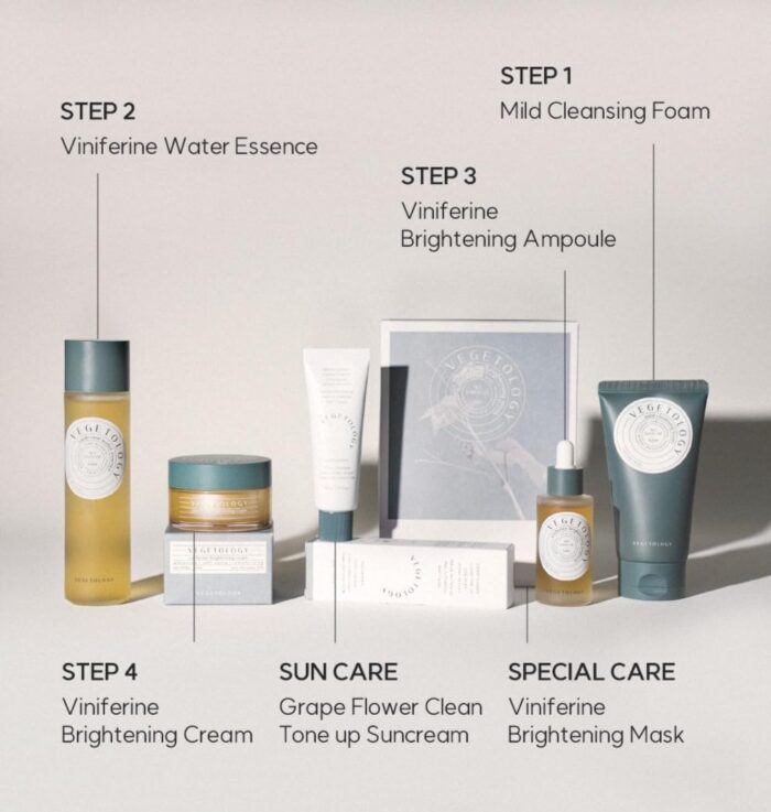 Vegetology Viniferine brightening cream | Korean Skincare brightening cream Hydrate and Moisturize Skin | Beauty Cream Regenerates and Even Out Skin Tone1.69oz 50ml - Image 5