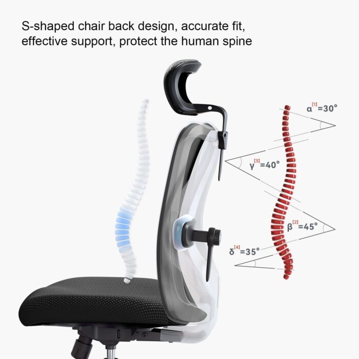 SIHOO M18 Ergonomic Desk Chair, Swivel Chair With Adjustable Lumbar Support, Headrest And Armrest, Height Adjustment and Rocker Function, Back-Friendly Office Chair, Load Capacity: up to 150 kg - Image 6