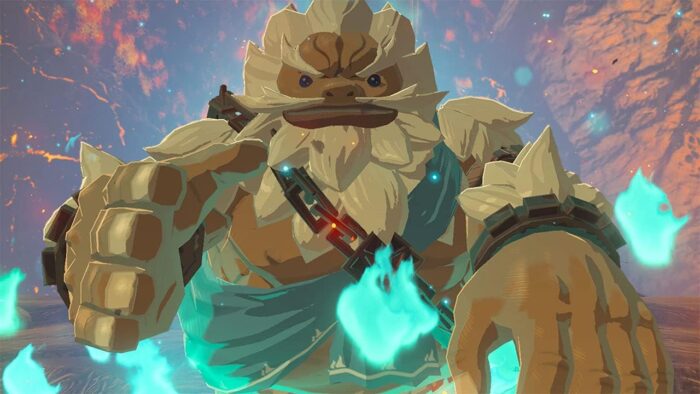 The Legend Of Zelda Breath Of The Wild Nintendo Switch Video Game (Nintendo Switch) - Image 5