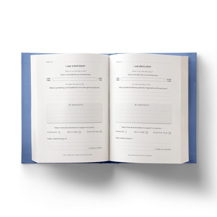 The Greatest Manifestation Book (is the one written by you) - Image 5