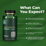GEROPROTECT Essentials I – 13-in-1 Daily Wellness Supplement with NMN, Ca-AKG, Urolithin A, Quercetin & More | 180 Tablets | Supports General Well-Being & Cellular Nutrition - Image 3