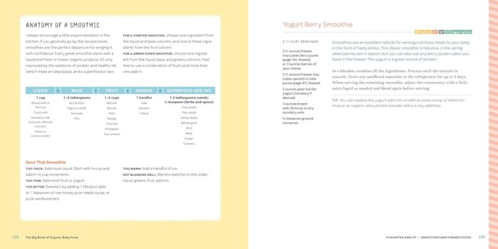 The Big Book Of Organic Baby Food: Purées, Finger Foods, And Toddler Meals For Every Stage - Image 2