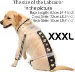 Olsa Dog Raincoat, Dog Hooded Slicker Poncho, 4 Legs Dog Rain Jacket with Reflective Stripe, Transparent Water Proof Resistant Dog Rain Snow Clothes for Small Medium Large Dogs - Image 5