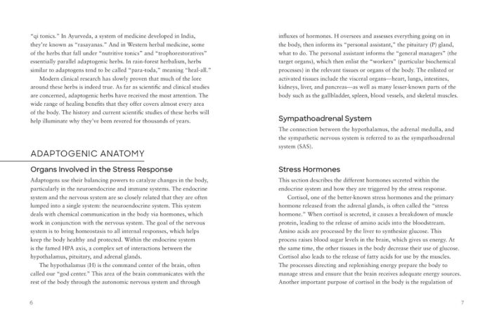 Ritual Wellness: Adaptogens: Herbs for Longevity and Everyday Wellness - Image 3