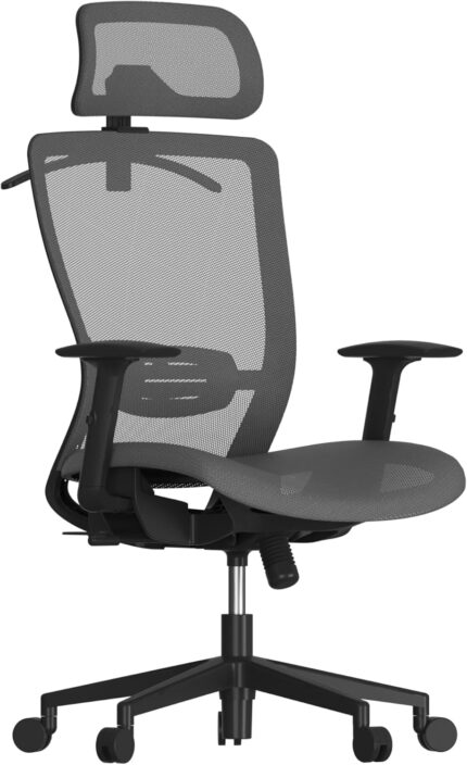 FLEXISPOT Ergonomic Office Chair, High Back Swivel Computer Chair, Home Office Desk Chairs with Wheels Lumbar Support, 2D Headrest/Adjustable Back Support/Heavy Duty Base, Mesh Seat Cushion, Gray