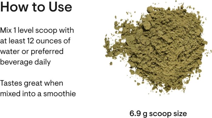 THORNE Daily Greens Plus - Comprehensive Greens Powder with Matcha, Spirulina, Moringa and Adaptogen, Mushroom and Antioxidant blends - Refreshing, Mint Flavor 204 grams - 30 Servings - Image 3