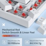 Baytion Mechanical Gaming Keyboard, 82 Keys 75% Compact Gaming Keyboard with Rainbow LED Backlit Wired Anti-Ghosting Mechanical Keyboard with Knob for Windows and Mac, White(Red Switches) - Image 2