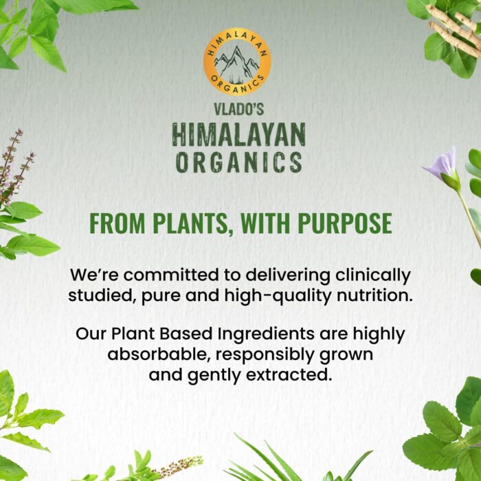 HIMALAYAN ORGANICS Omega 3 6 9 Vegan Natural Nutrition Supplement for Muscle, Bone, Heart & Skin - 90 Veg Capsules - Image 3