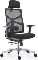 HOLLUDLE Ergonomic Office Chair with Adaptive Backrest, High Back Computer Desk Chair with 4D Armrests, Adjustable Seat Depth, Lumbar Support and 2D Headrest, Swivel Task Chair, Black