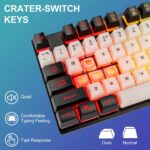 CHONCHOW USB Wired Keyboad and Mouse Combo Full Size Rainbow LED Light Up Backlit Gamer Keyboard and Mouse Set, Mouse and Keyboard Combo for Computer Laptop Xbox PS4 PS5 Gaming and Work(1953,local) - Image 4