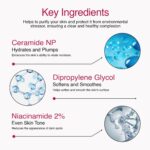 6SKINS® Aqua Gel Face Moisturizer with Niacinamide and Ceramides, Ultra Light Daily Moisturizer Face Cream - K Beauty Skincare for Plumping & Glowing Skin, For All Skin Types Non-Greasy 50ml / 1.7 oz - Image 3