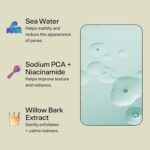Bubble Skincare Break Even pH Balancing Toner for Oily Skin - Niacinamide + Green Tea Toner - Soothe Skin and Promote Even Texture Through Plant-Based, Exfoliating Skincare (95 ml) - Image 4