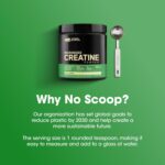 Optimum Nutrition (ON) Micronized Creatine Monohydrate Powder for Muscle Building Support - Unflavored, 300 Grams, 60 Servings - Package May Vary - Image 3