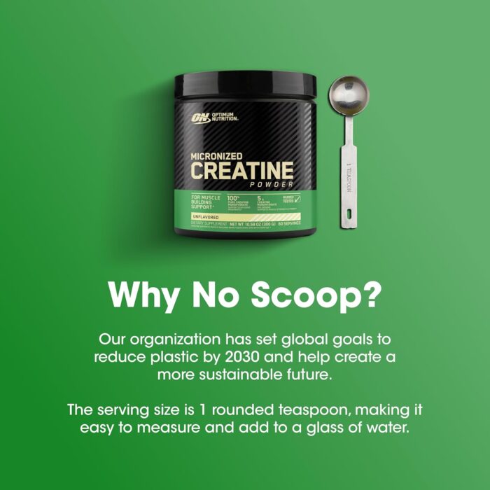 Optimum Nutrition (ON) Micronized Creatine Monohydrate Powder for Muscle Building Support - Unflavored, 300 Grams, 60 Servings - Package May Vary - Image 3