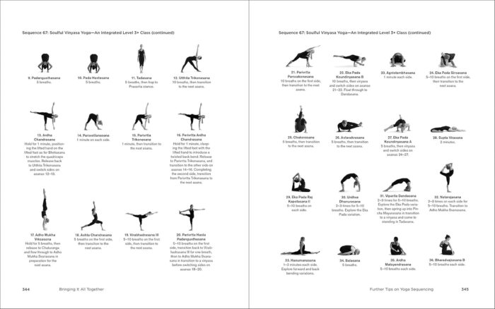 Yoga Sequencing Designing Transformative Yoga Classes by Mark Stephens - Paperback - Image 6
