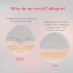 WELLBEING NUTRITION Glow Japanese Marine Collagen Peptides with Skin, Glutathione, Resveratrol, Bromelain & Goji Berry| Tropical Bliss Flavor - 250 g - Image 4