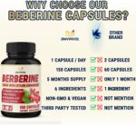 Berberine Supplement Equivalent to 4700mg - 5 Months Supply - High Potency with Ceylon Cinnamon - Supports Immune System, Cardiovascular & Gastrointestinal Function - Berberine HCl Supplement Pills - Image 5