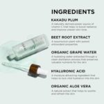 IMAGE Skincare, ORMEDIC Balancing Antioxidant Serum, Hydrates & Soothes Skin with Organic Aloe Vera, Vitamin C, & Botanical Extracts, 30 mL - Image 5