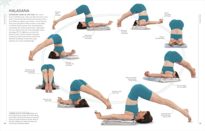 DK B.K.S. Iyengar Yoga The Path to Holistic Health: The definitive step-by-step guide - Image 6