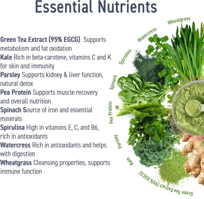 Applied Nutrition Critical Greens Powder and Superfood Blend for Gut Health Energy and Immune Support Vegan Daily Greens Juice Powder (250g - 50 Servings) - Image 4