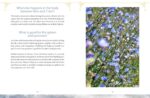The Body Clock in Traditional Chinese Medicine: Understanding Our Energy Cycles for Health and Healing - Image 4
