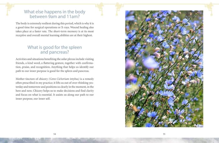 The Body Clock in Traditional Chinese Medicine: Understanding Our Energy Cycles for Health and Healing - Image 4
