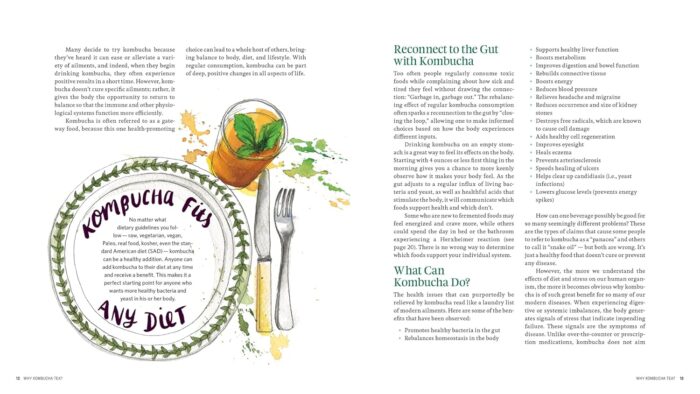 Storey Publishing Big Book of Kombucha - Image 7