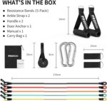 PROIRON Resistance Bands Set 14 Pieces Anti-Snap Resistance Band Exercise with Handles, Door Anchor, Ankle Straps, Training Manual and Carrying Bag - Image 3