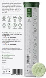 Wellbeing Nutrition Daily Greens, Wholefood Multivitamin with Vitamin C, Zinc, B6, B12, Iron for Immunity and Detox with 39+ Organic Certified Plant Superfoods & Antioxidants(15 Effervescent Tablets) - Image 5