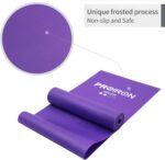 PROIRON 2 in 1 Resistance Bands Set - Includes Resistance Loop Bands, Physical Therapy Bands for Home Fitness, Stretching, Strength Training, Physical Therapy,Elastic Workout Bands for Whole Body - Image 4