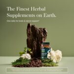 Gaia Herbs Lion’s Mane Mushroom - Brain and Nerve Support Supplement to Help Maintain Neurological Health - with Organic Lion's Mane Mushrooms - 40 Vegan Liquid Phyto-Capsules (40-Day Supply) - Image 2