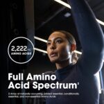 Optimum Nutrition (ON) Superior Amino 2222 Tablets, Complete Essential Amino Acids, EAAs to Maintain Muscle Tissue - 160 Tablets - Image 5