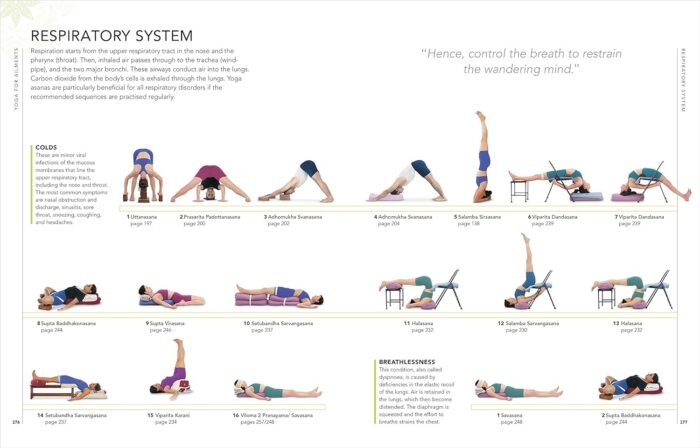 DK B.K.S. Iyengar Yoga The Path to Holistic Health: The definitive step-by-step guide - Image 8