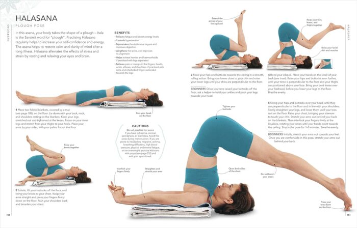 DK B.K.S. Iyengar Yoga The Path to Holistic Health: The definitive step-by-step guide - Image 5