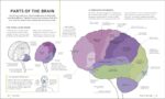 The Brain Fitness Book - Image 4