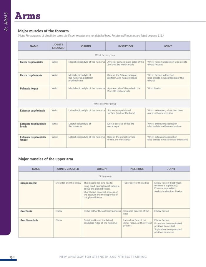 Anatomy for Strength and Fitness Training - Image 7