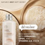 The Face Shop Rice Ceramide Skincare Set | Rich Moisturizer for Long-lasting Smooth Absorbtion without Stickiness | Whitening, Antioxidant & Anti-Aging | K-Beauty, Korean Skincare Set - Image 5