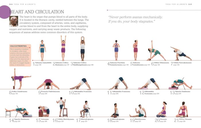 BKS Iyengar Yoga The Path to Holistic Health: The Definitive Step-by-Step Guide - Image 7